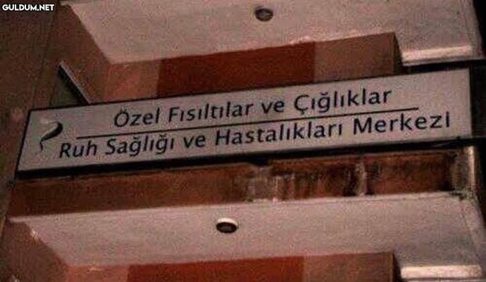 Kafamda sürekli ses duyuyorum, KBB ve psikiyatri temiz çıktı, bu ses neden gitmiyor?