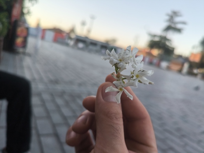 Yapmayı ertelediğiniz en önemli şey nedir?