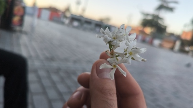 Yapmayı ertelediğiniz en önemli şey nedir?