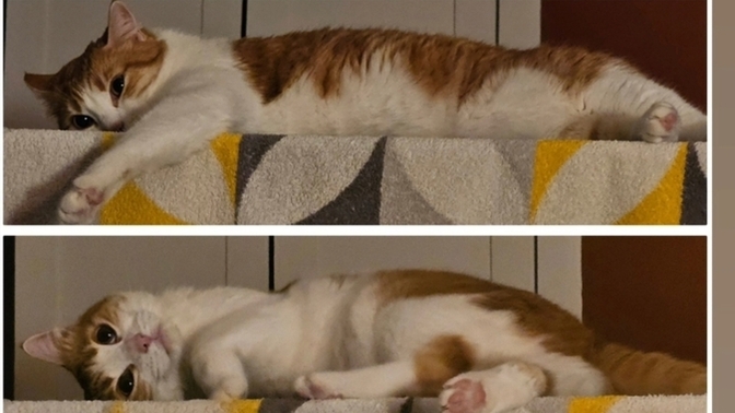 Uyumak için iyi geceler mesajı bekler misiniz 🥱😴?