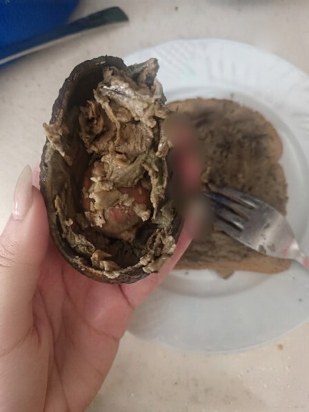 Avokado aldım içinden böyle çıkması normal mi?