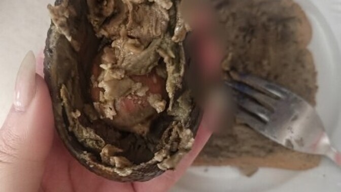 Avokado aldım içinden böyle çıkması normal mi?
