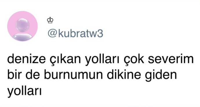 Burnunuzun dikine gider misiniz?