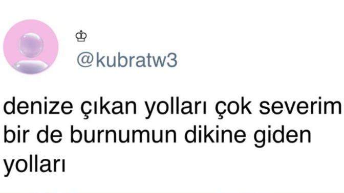 Burnunuzun dikine gider misiniz?