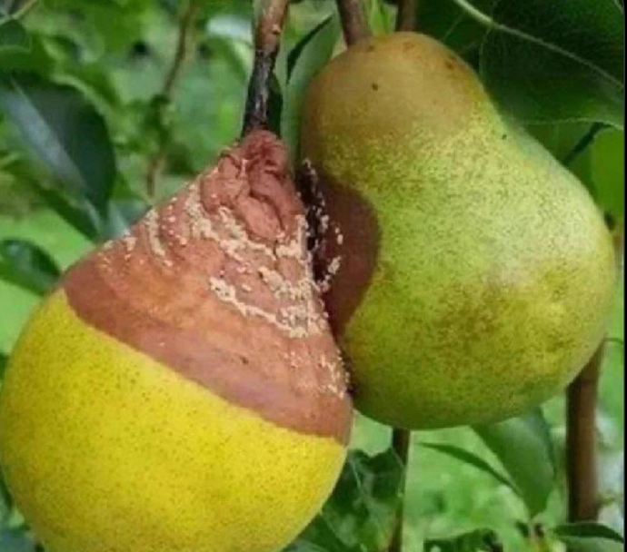 Mutlu ve pozitif insanlarla olmak herkese iyi gelir