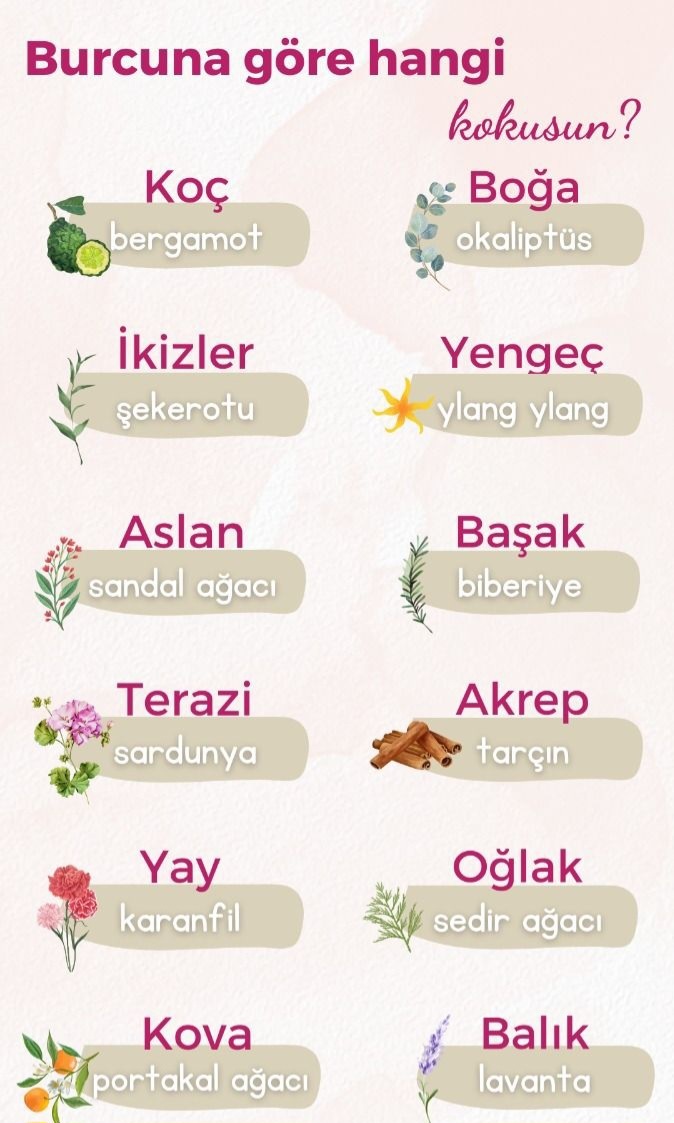 Burcuna göre hangi kokusun?