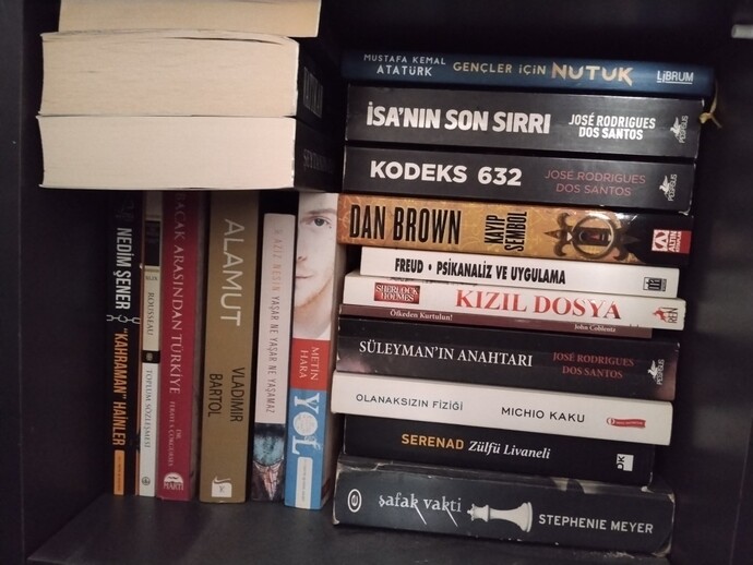 Kitaplığımdaki hangi kitabı okumak isterdin?