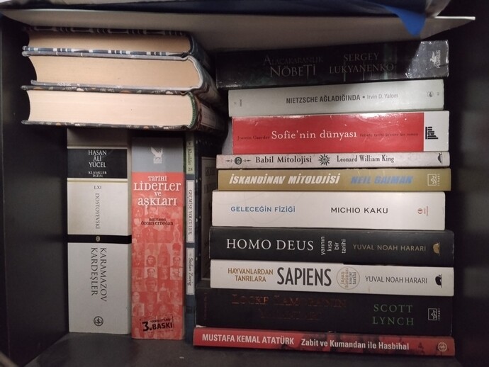 Kitaplığımdaki hangi kitabı okumak isterdin?