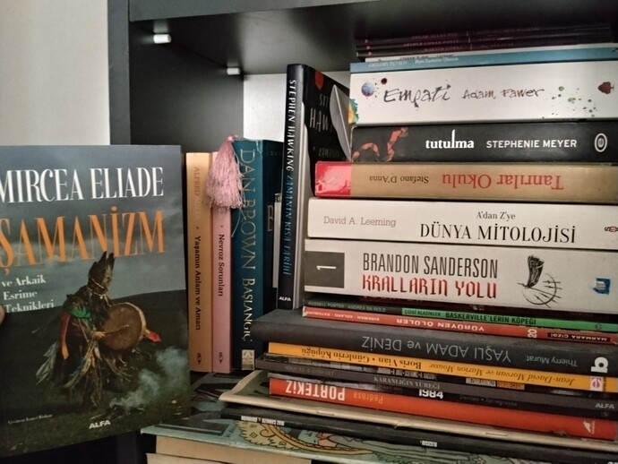 Kitaplığımdaki hangi kitabı okumak isterdin?