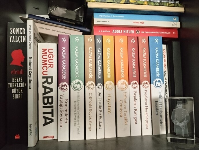 Kitaplığımdaki hangi kitabı okumak isterdin?