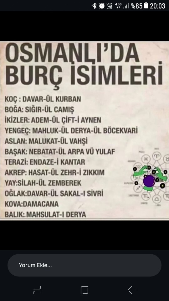 Sizin burcunuz resimdekilerden hangisi?