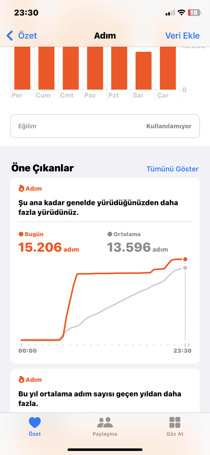 Bugün kaç bin adım attınız?