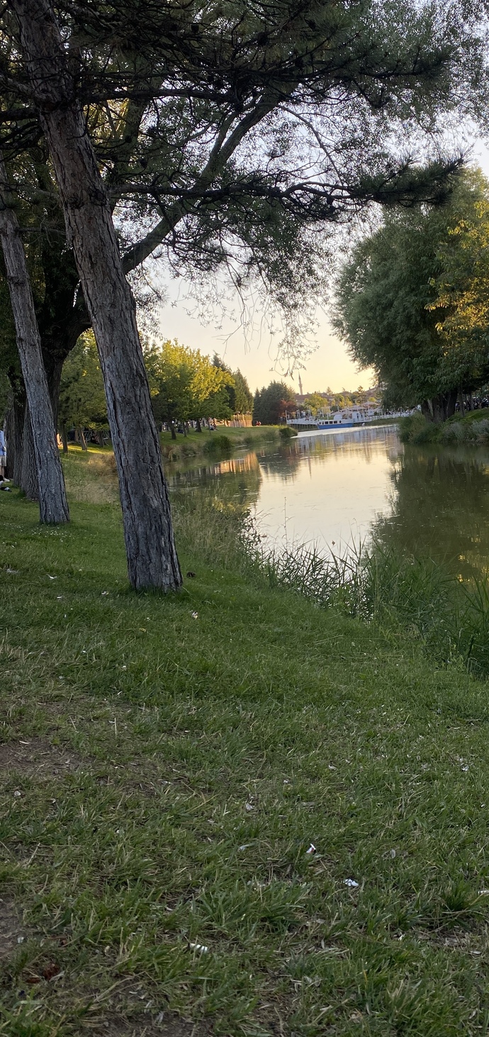 Alarmdan önce uyanmak çok hoş bişi değil mi?