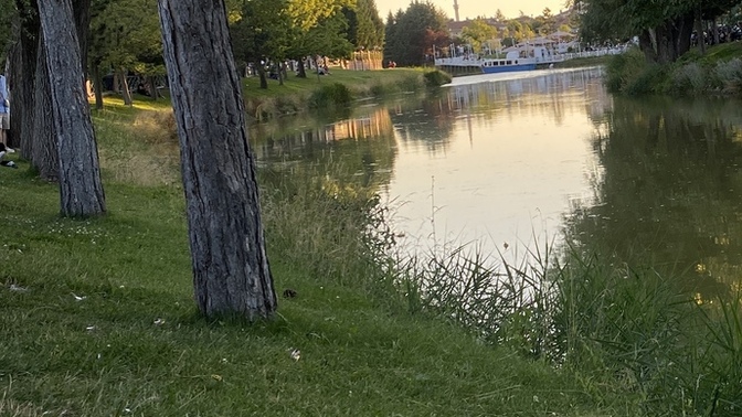 Alarmdan önce uyanmak çok hoş bişi değil mi?