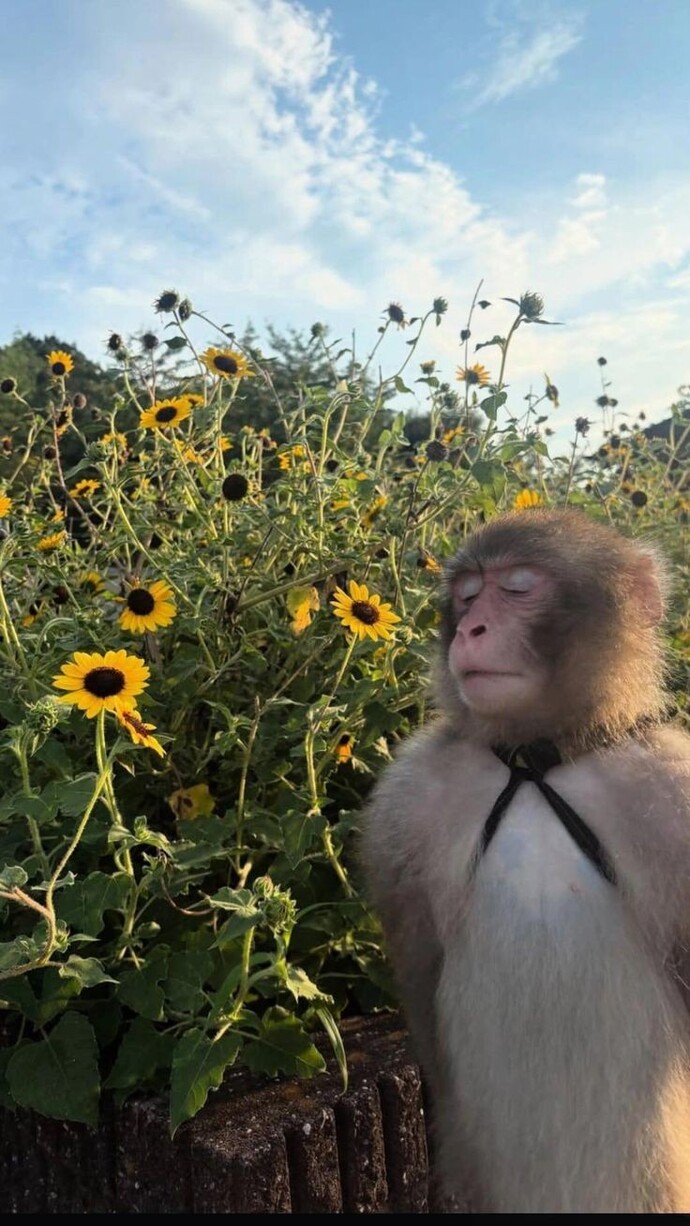 Sabah nasıl bir yerde uyanmak isterdin?