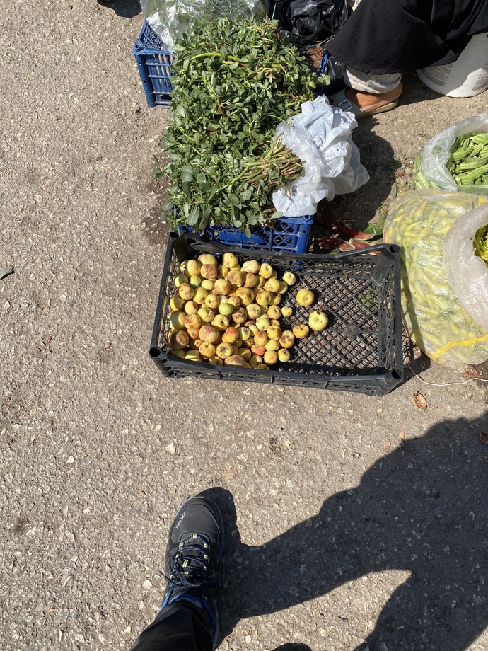 Dereotlu karışık salata sever misiniz beslenmenizdeki yeri nedir?