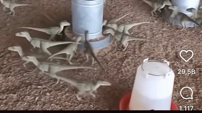 Konya’daki ilk dinozor çiftliği hakkında ne düşünüyorsunuz, gerçekten gurur duyulacak bir proje mi?