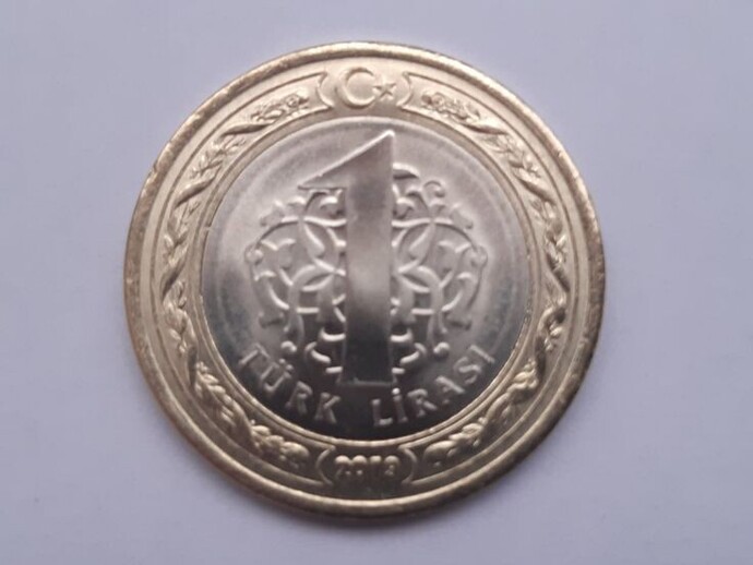 Yere bir lira düşürsen alır mısın?