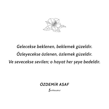 Hiç yol gözlediniz mi?