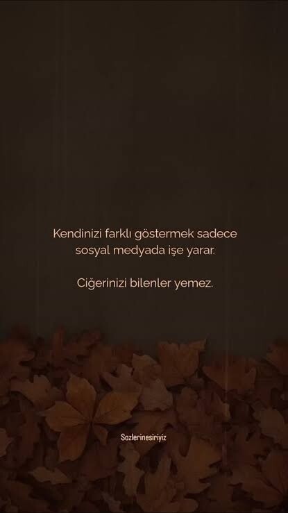 Sosyal medyada herkes gerçekten anlattığı gibimi?