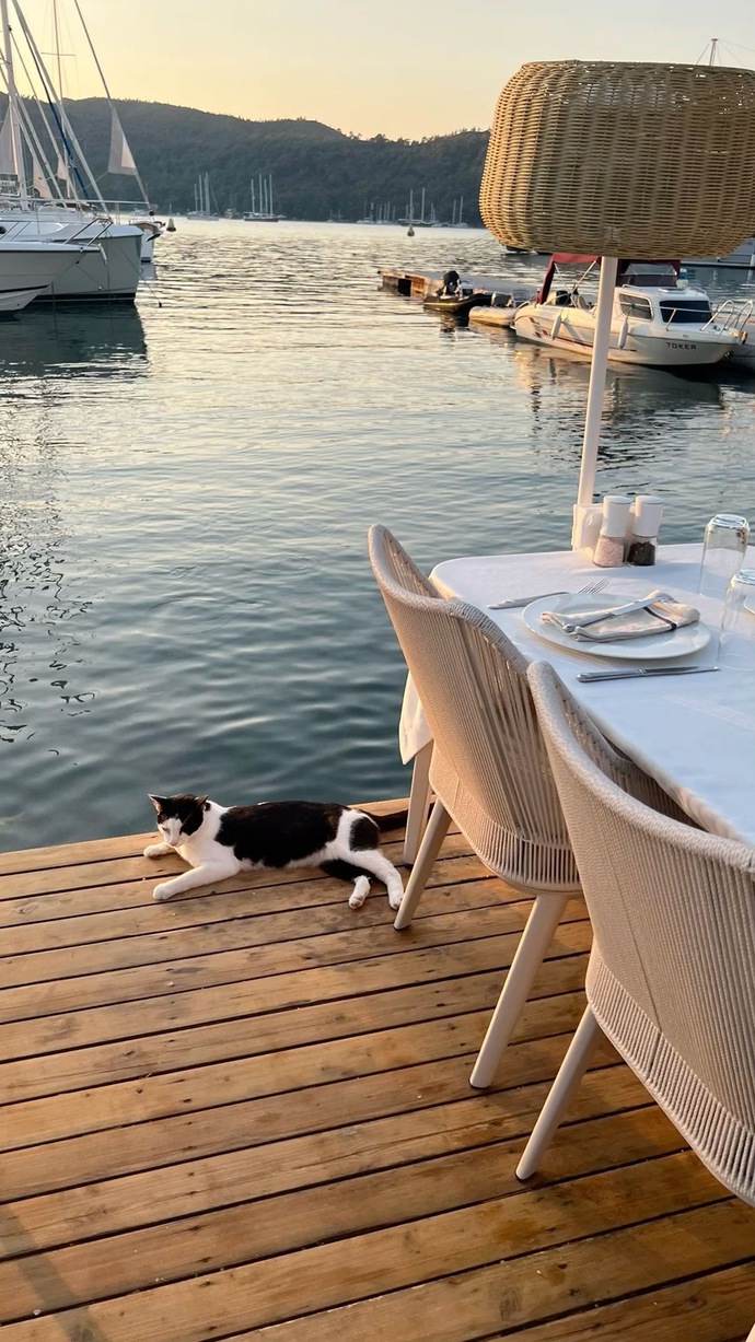 Akşam yemeğini saat kaç gibi yiyorsunuz?