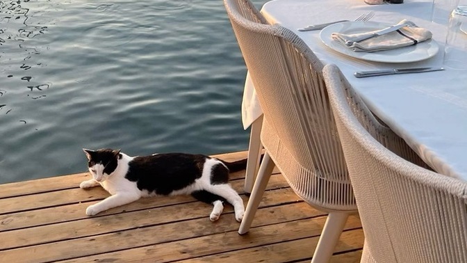 Akşam yemeğini saat kaç gibi yiyorsunuz?