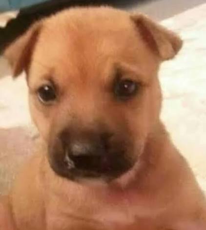Gözlerim çok mu ayrık, yüzüme göre orantısız mı duruyor?