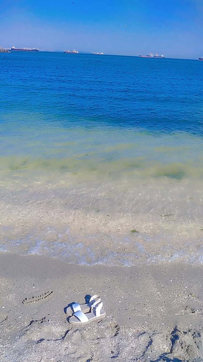 Kopeginizi tatile, denize, plaja goturuyor musunuz yoksa evde mi birakiyorsunuz?