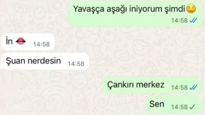 Sanal da ettiğiniz en saçma muhabbet?