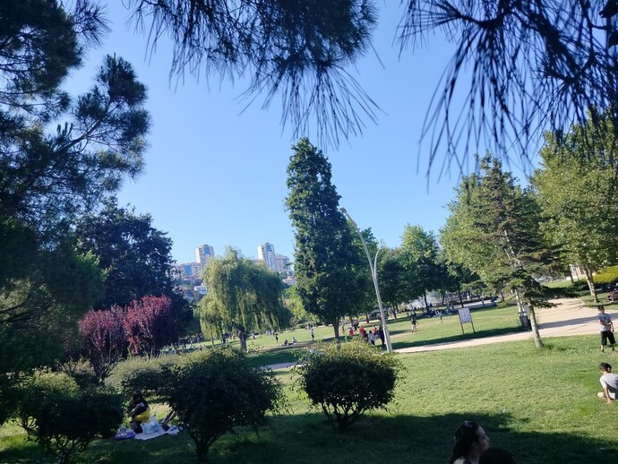 Elindeki telefon ile en son çektiğin üç fotoğraf nedir?