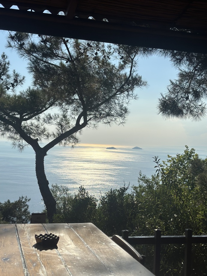 Elindeki telefon ile en son çektiğin üç fotoğraf nedir?