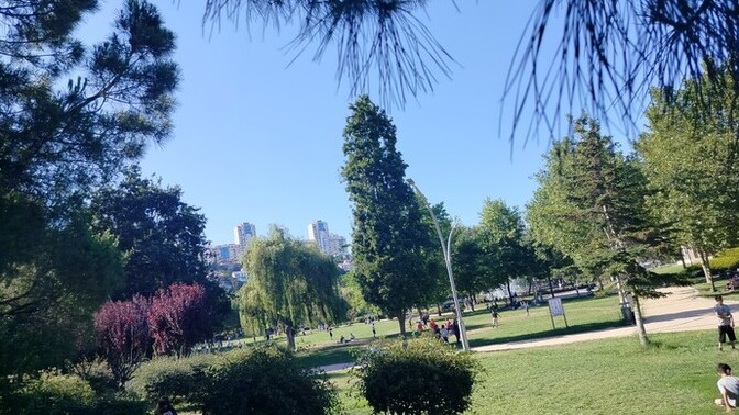 Elindeki telefon ile en son çektiğin üç fotoğraf nedir?