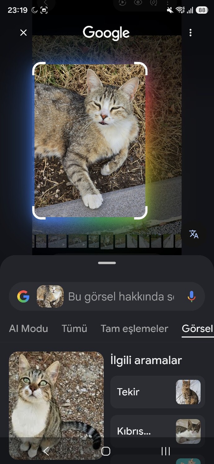 Telefonunuz Yapay zeka destekliyor mu en çok hangi özelliği kullanıyorsunuz?