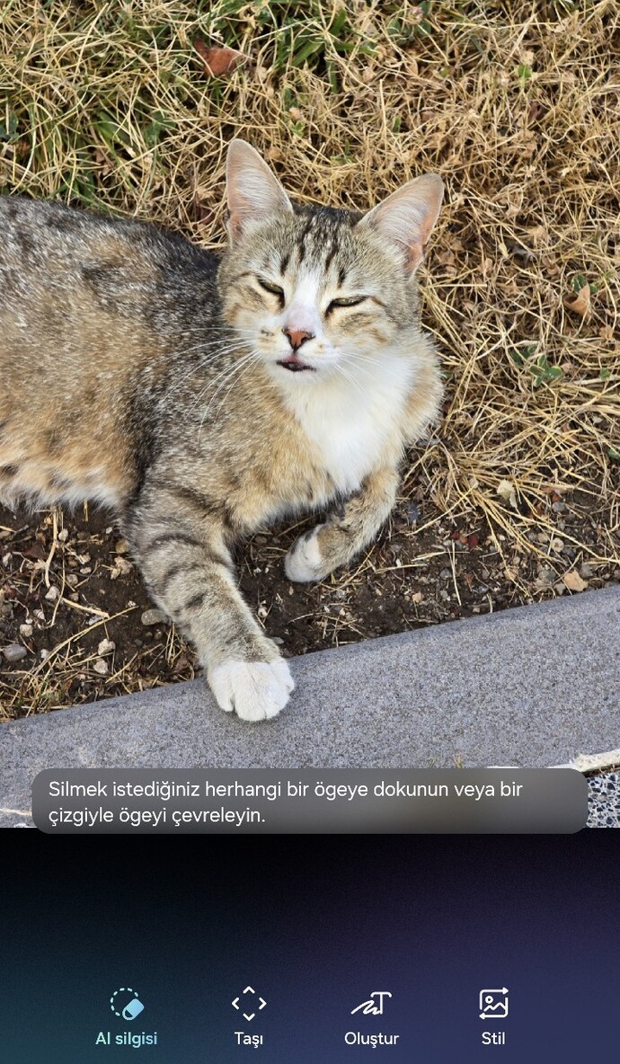 Telefonunuz Yapay zeka destekliyor mu en çok hangi özelliği kullanıyorsunuz?