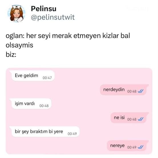 Sizi merak eden / düşünen karşı cins itici mi gelir çekici mi?