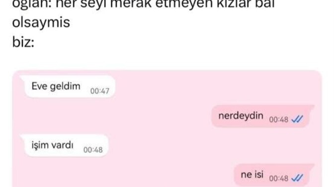 Sizi merak eden / düşünen karşı cins itici mi gelir çekici mi?