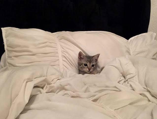 Gece gece kafanizi kurcalayan nedir?