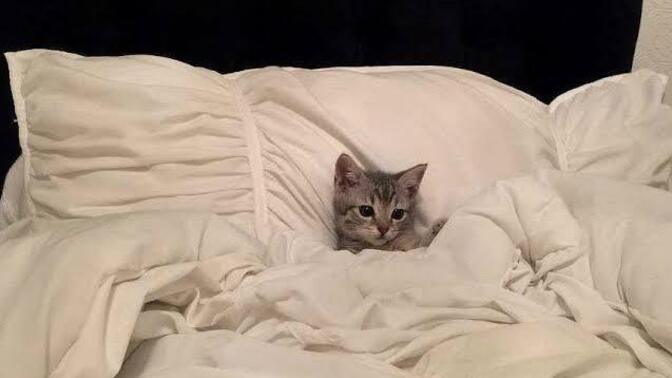 Gece gece kafanizi kurcalayan nedir?