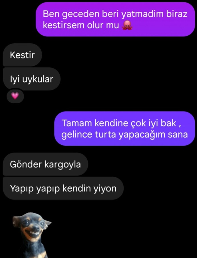 Gece uyumadan önce hangi işe bulaştınız?