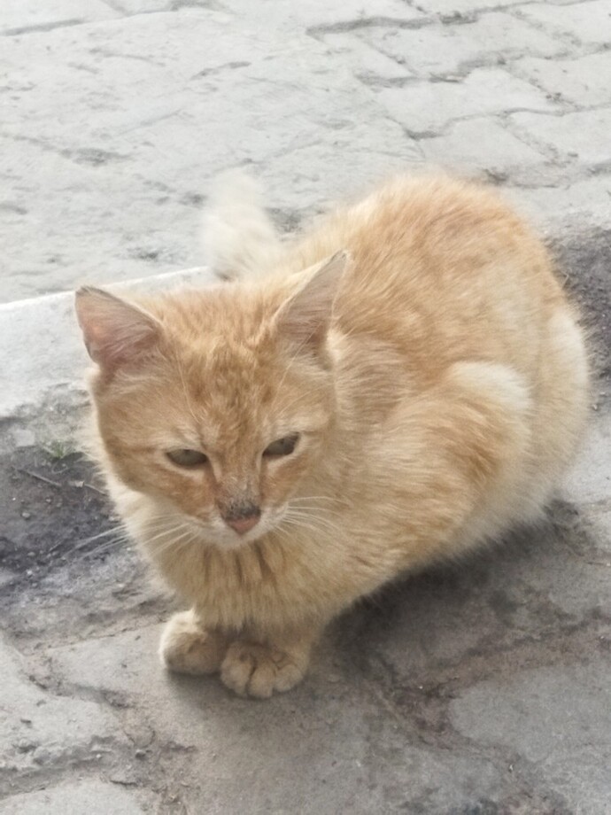 Terapi niyetine neleri seviyorsunuz?
