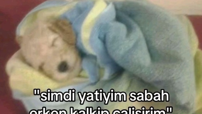 Yapacağı işi ertelemeden anında halleden insanlar sizce de çok garip değil mi?