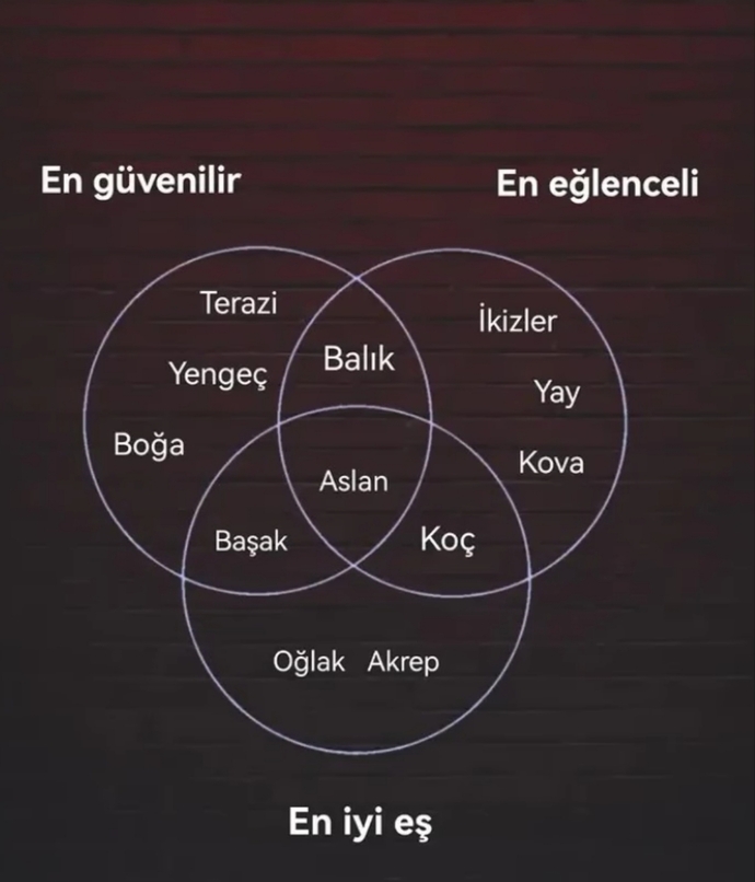 Siz hangi gruptasınız?