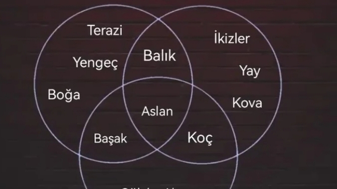 Siz hangi gruptasınız?