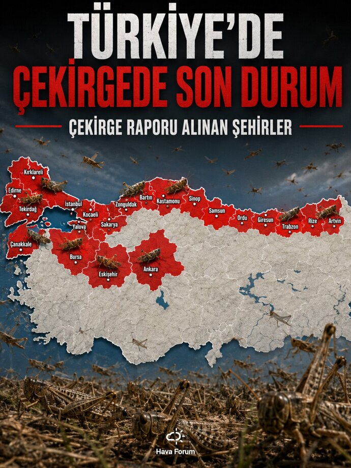Ülkedeki Çekirge istilası hakkında ne düşünüyorsunuz. Bulunduğunuz şehirde Çekirgeleri gördünüz mü?