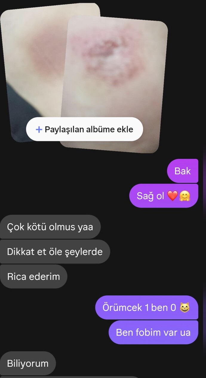 Evimizde ki örümcek, sivrisinek, hamamboceği gibi canlıları öldürmek ahlaki olarak bizi tam olarak nereye konumlar?