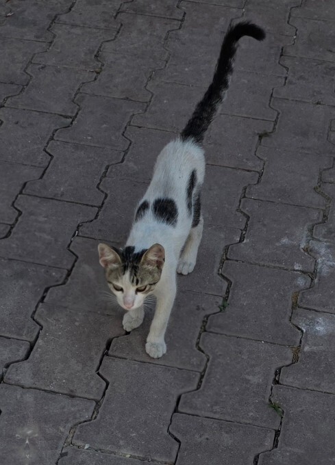 Hayallerinizi gerçekleştirebildiniz mi?