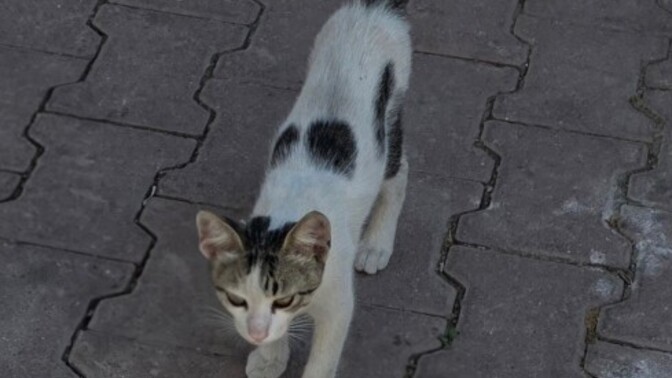 Hayallerinizi gerçekleştirebildiniz mi?