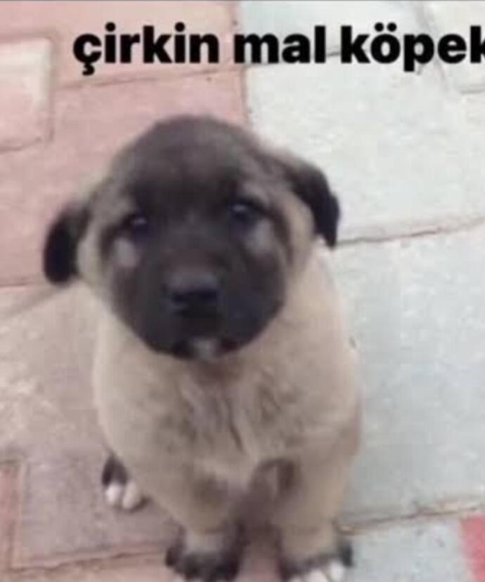 Mesajlara saatler sonra dönüp sosyal medyada aktif olan insanları hayatınızdan tek kalemde siler misiniz yoksa bu durum normal mi?