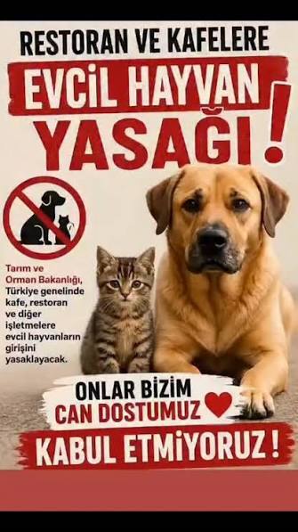 Köpeklerin kafelere ve restoranlara alınmayacak olması hakkında ne düşünüyorsunuz🐾?