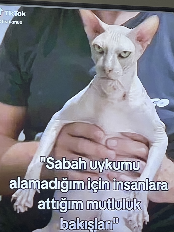 Uykunuz ağır mıdır sizi uyandırmakta zorlanıyorlar mı?